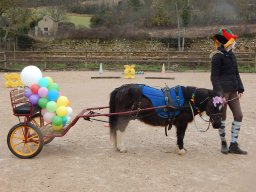 Occasions de s&#039;amuser